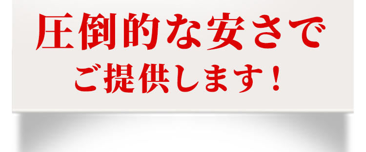 圧倒的な安さでご提供します！