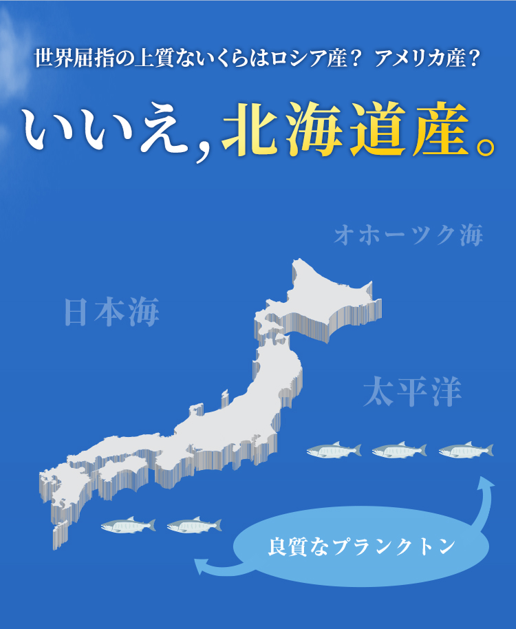 世界屈指の上質ないくらはロシア産？アメリカ産？　いいえ、北海道産。