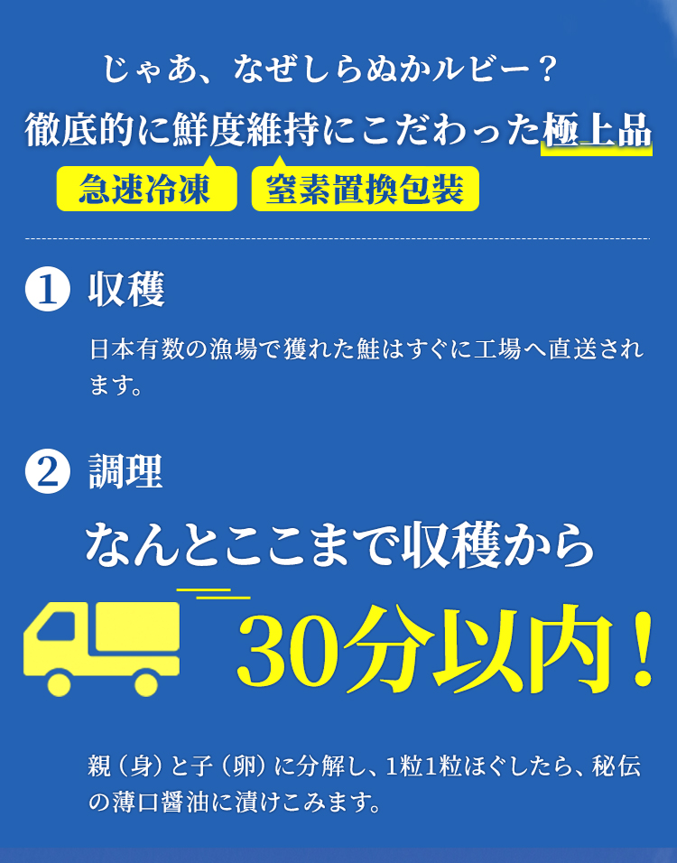 じゃあ、なぜしらぬかルビー？徹底的に鮮度維持にこだわった極上品　１収穫　日本有数の漁場で獲れた鮭はすぐに工場へ直送されます。２調理　なんとここまで収穫から30分以内！